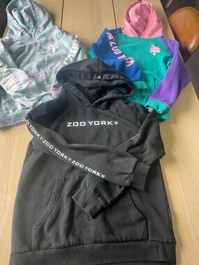 Zoo York Boys Hoodie lot size 14/16 - Zoo York kids hoodies size lg/xl boys